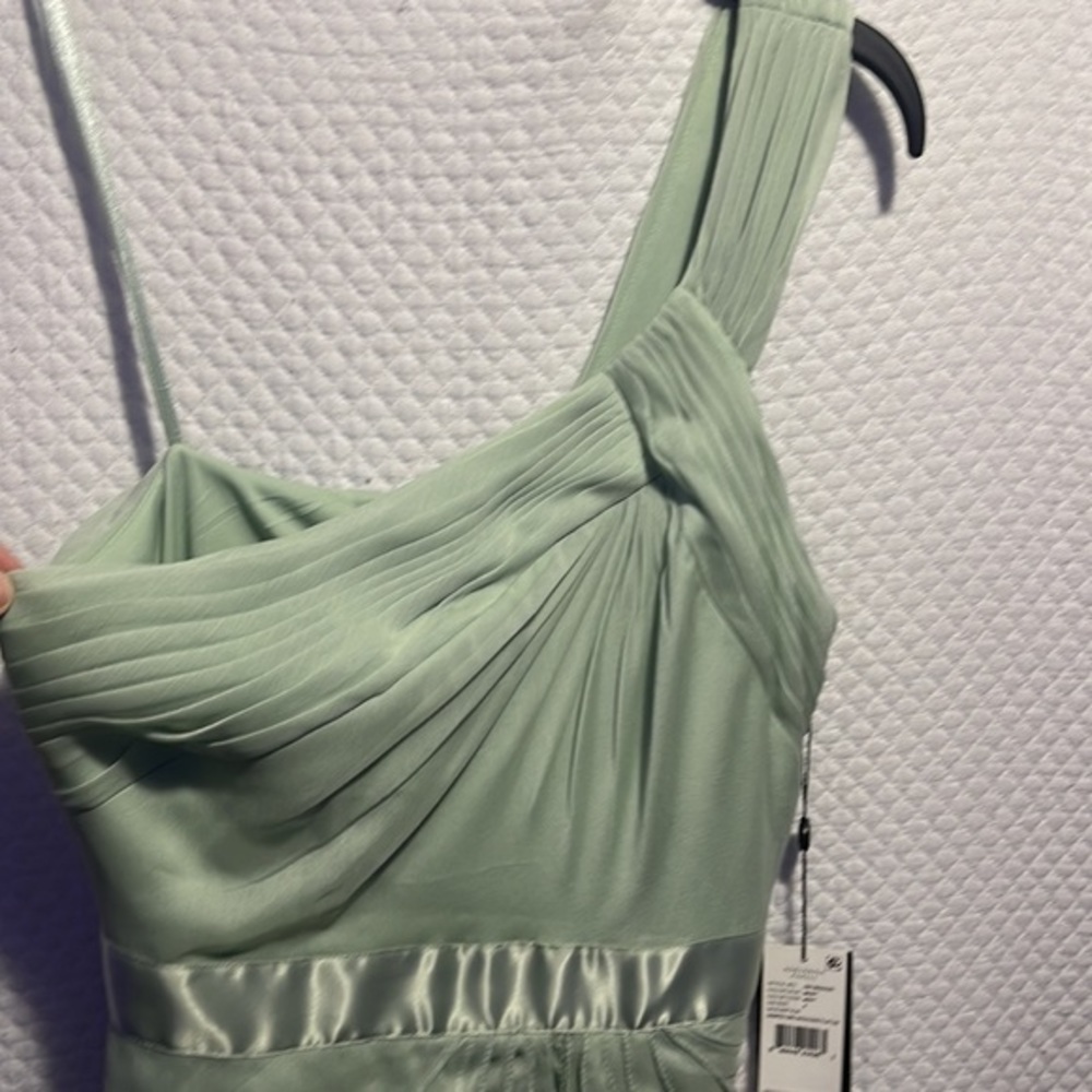 WOOHOO SOLD ❤️NWT GORGEOUS ADRIANA PAPELL Mint Chiffon One-Shoulder Gown - Picture 5 of 9
